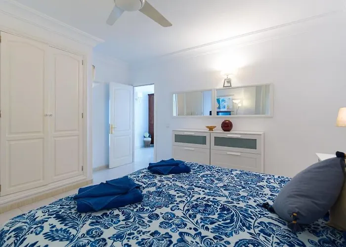 Erizos Playa Blanca (Lanzarote)