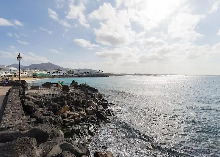 Erizos Playa Blanca (Lanzarote)