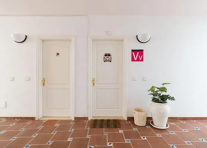 Erizos Playa Blanca (Lanzarote)