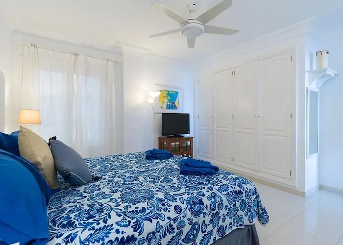 Erizos Playa Blanca (Lanzarote)